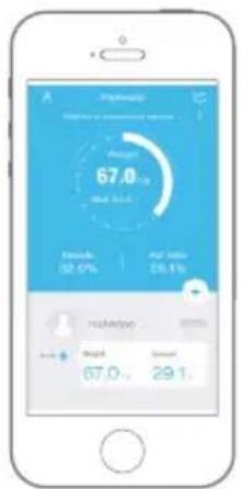 BLAUPUNKT Fit Scale - ESTABLEZCA UN ENLACE ENTRE LOS DISPOSITIVOS, COMPLETE EL REGISTRO E INFORMACIÓN PERSONAL - 4