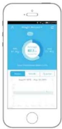 BLAUPUNKT Fit Scale - ESTABLEZCA UN ENLACE ENTRE LOS DISPOSITIVOS, COMPLETE EL REGISTRO E INFORMACIÓN PERSONAL - 6