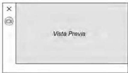 Vista Previa