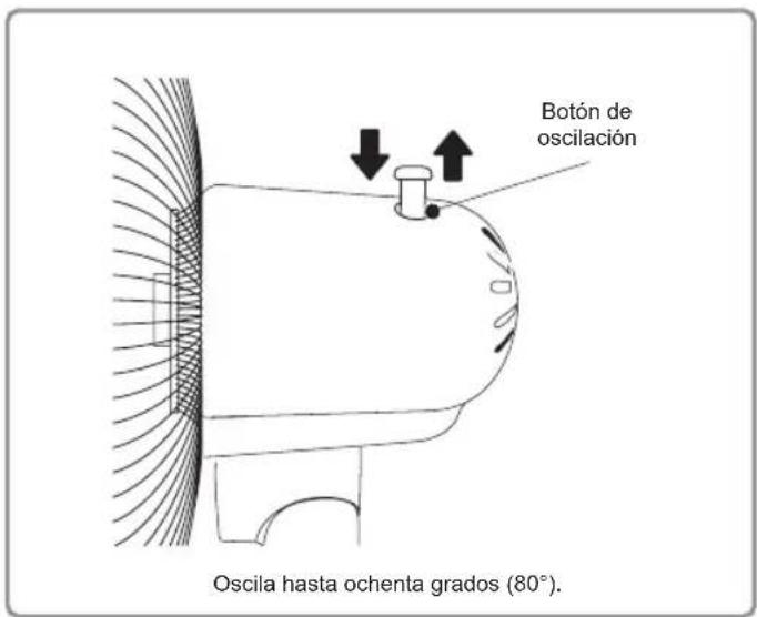 Botón de oscilación Oscila hasta ochenta grados (80°).