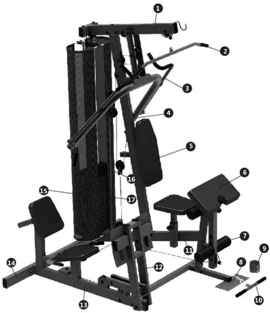 Athletic Power Plus - COMPONENTES E ESPECIFICAÇÕES TÉCNICAS - 1