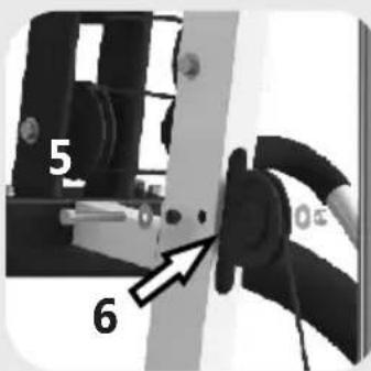 5 6