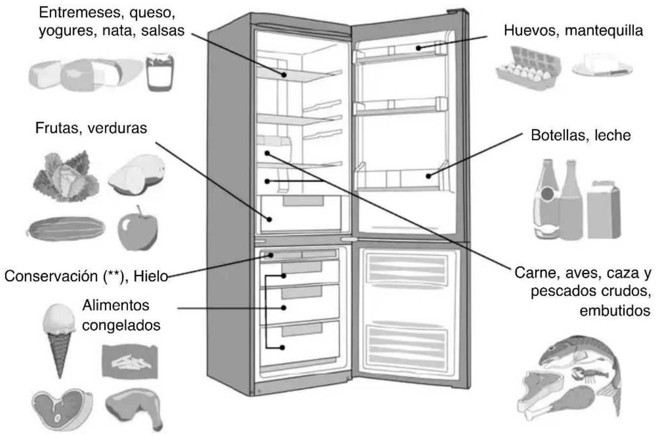 DE DIETRICH DKP827X - Colocación de los alimentos en su frigorífico - 1