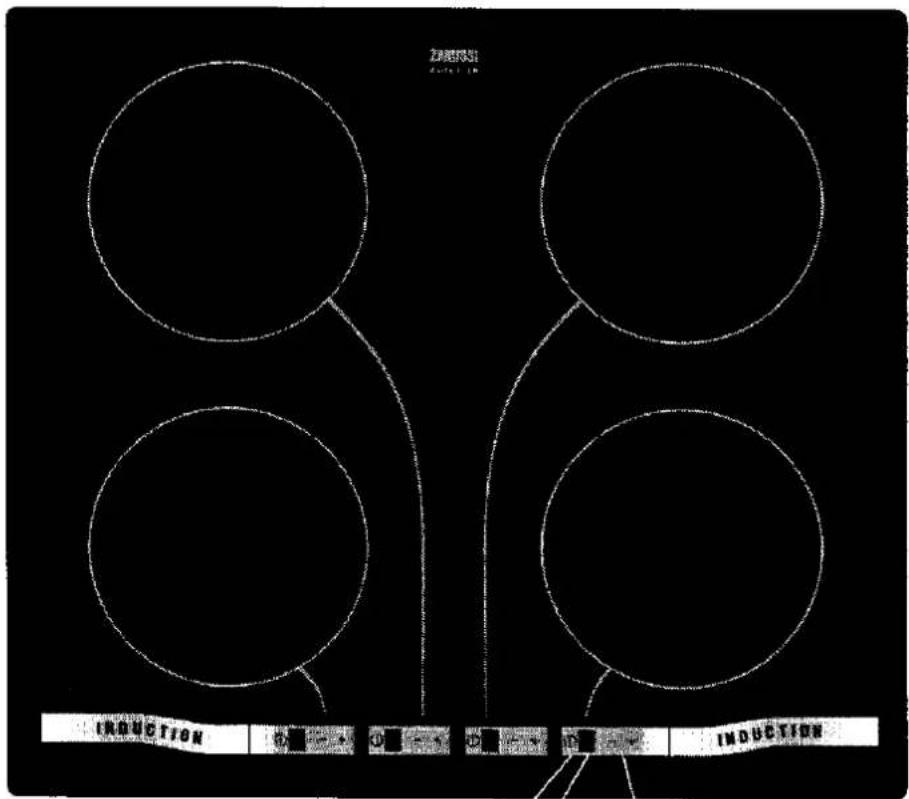 Z-1000 INDUCTION INDUCTION