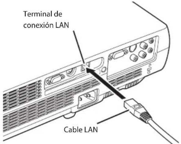 Terminal de conexión LAN Cable LAN