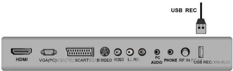 Sunstech TLXR2265 - Conexión AV - 4