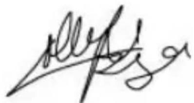 Handwritten signature or scribble on a line, possibly a signature or name