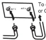 HITACHI 32HDL51 - VHF (75-Ohm) antenna/CATV (Cable TV) - 1