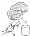 Infiniton FG-1743.212GK - PLACEMENT OF FOOD - 2