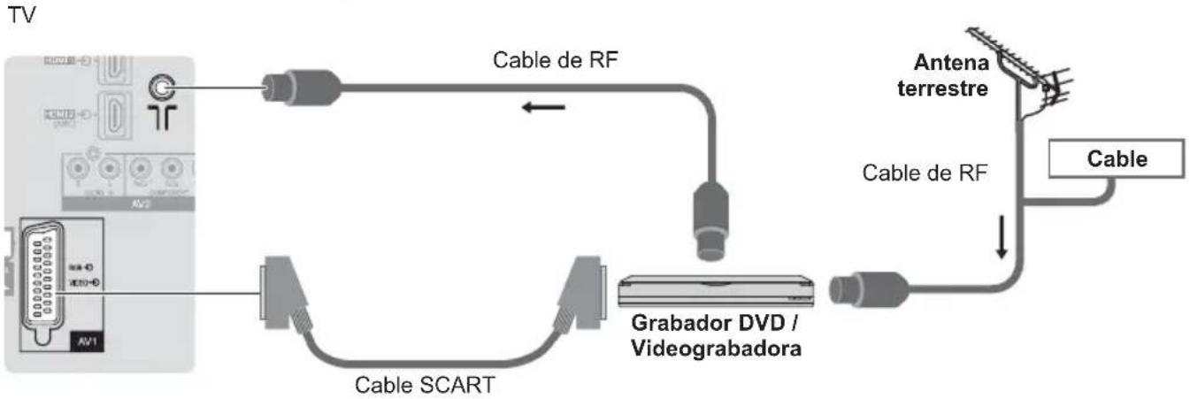 PANASONIC Viera TX-L32EM5E - Dispositivos AV - 2