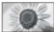 PANASONIC Viera TX-L32EM5E - [14:9] [Zoom1] - 2