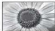 PANASONIC Viera TX-L32EM5E - [Preciso] [Zoom2] - 2