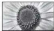 PANASONIC Viera TX-L32EM5E - [4:3] [Zoom3] - 2