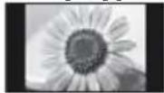 PANASONIC Viera TX-L32EM5E - [4:3] [Zoom3] - 1