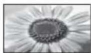 PANASONIC Viera TX-L32EM5E - [16:9] [4:3 completo] - 2