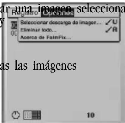 KODAK PalmPix Palm M100 - Eliminar imágenes - 2