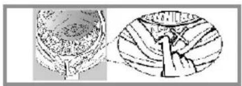 SVAN SVL09MI - Notes - 4