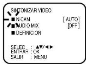 JVC HR-XV1EU - Recepción de sonido estéreo NICAM: - 2