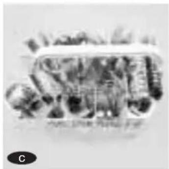 EDESA 1LE061S - IMPORTANTE - 3
