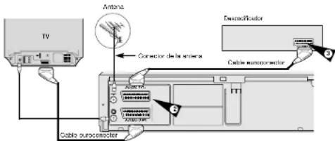 Antenna TV Connector de la sistema Cable euroconnector Cable euroconnector Cable euroconnector
