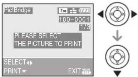 PANASONIC Lumix DMC-FX03 - ■ Imagem Única - 2