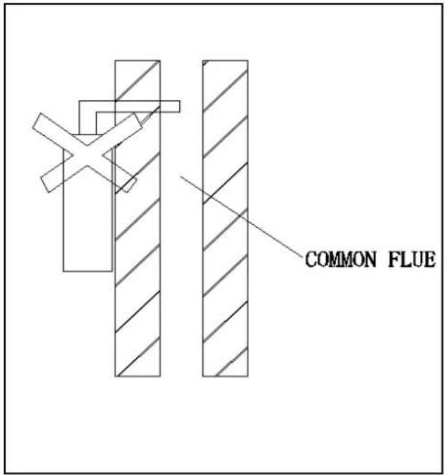COMMON FLUE