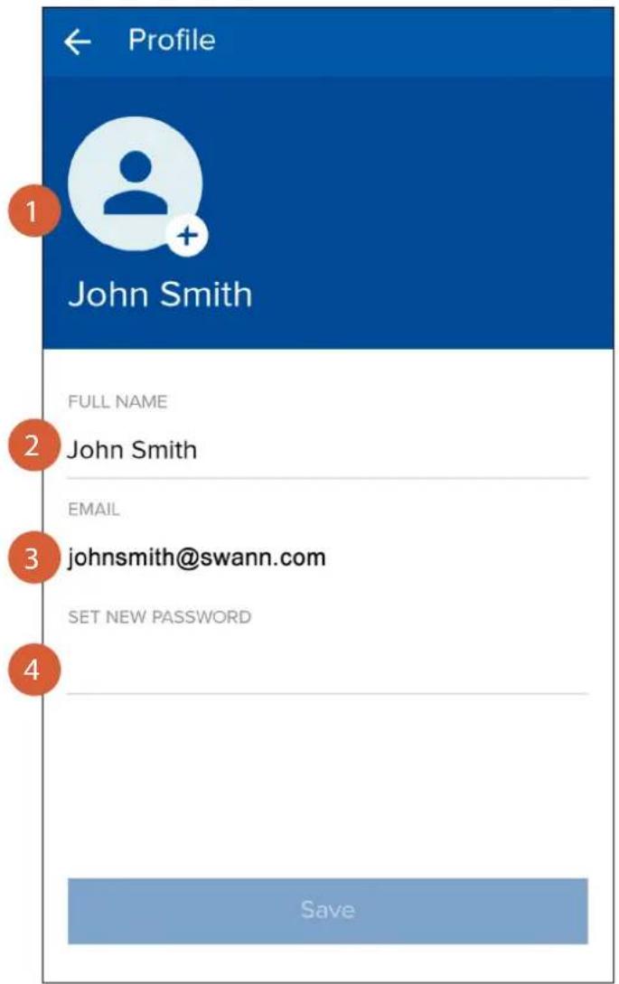 SWANN SWWHD-INTCAMPK3-UK - The Playback Screen - 3