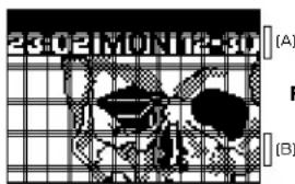23:02 M10 N12-30 (A) (B)
