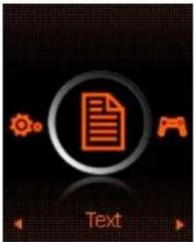 Text