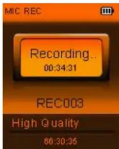 Zipy Iguana - Record Mode (Modo de gravação) - 1
