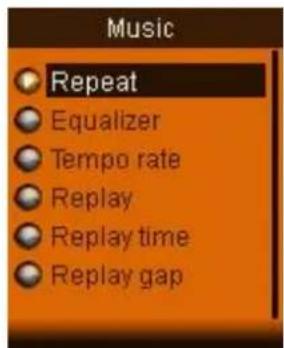 Music Repeat Equalizer Tempo rate Replay Replay time Replay gap