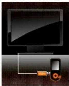 Zipy Iguana - USB disk function (Função de disco USB) - 1