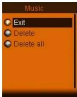 Music Exit Delete Delete all