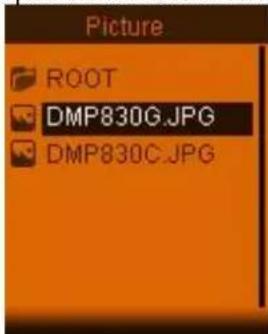 Picture ROOT DMP830G.JPG DMP830C.JPG