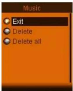 Music Exit Delete Delete all