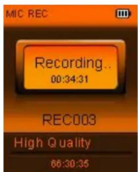 MIC REC Recording.. 00:34:31 REC009 High Quality 66:30:35