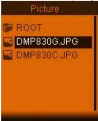 Picture ROOT DMP830G.JPG DMP830C.JPG