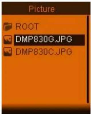 Picture ROOT DMP830G.JPG DMP830C.JPG