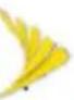 SAMSUNG Transform - Sprint Operator Services - 3
