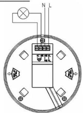 N L 10