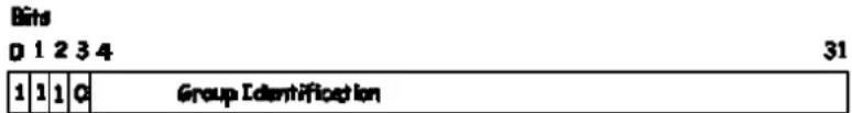 Bits D 1 2 3 4 31 1 | 1 | 1 | C Group Identification