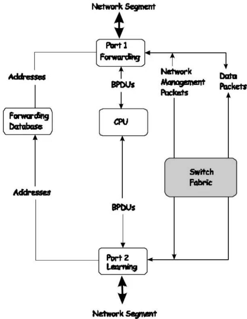 D-LINK DGS-3308TG - A port in the forwarding state does the following: - 1