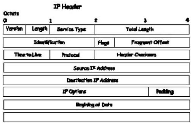 IP Header Octens 0 1 2 3 4 Version Length Service Type Total Length Identification Flags Fragment Offset Time to Live Protocol Header Checkupm Source IP Address Destination IP Address IP Options Padding Beginning of Date _______________________________