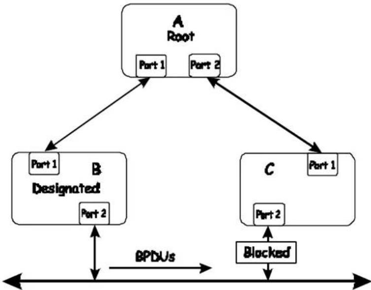 D-LINK DGS-3308TG - Spanning Tree Protocol Failure - 1