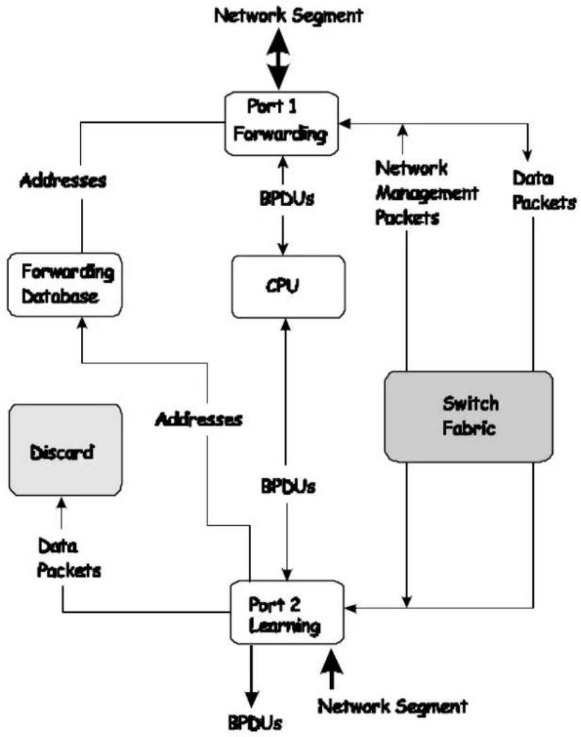 D-LINK DGS-3308TG - A port in the learning state does the following: - 1
