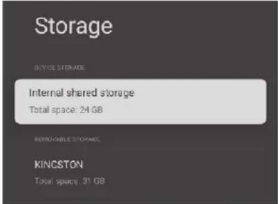 Storage DEVICE STORAGE Internal shared storage Total space: 24 GB REMOVABLE STORAGE KINGSTON Total space: 31 GB