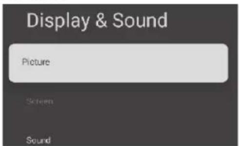 Display & Sound Picture Screen Sound