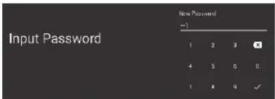 Input Password New Password --1 1 2 3 4 5 6 0 7 8 9 ✓