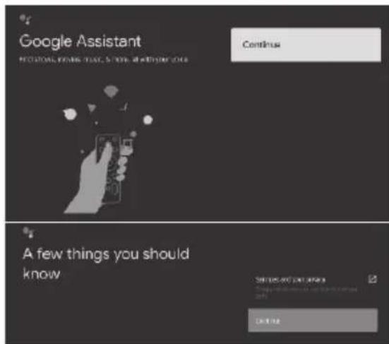 Google Assistant RECOPIED WORKING YOUR CARE, NEW ARRUSTION YOUR Continue A few things you should know
