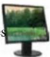 ASUS N20A-2P006E - □ Salida para Pantalla (Monitor) - 1